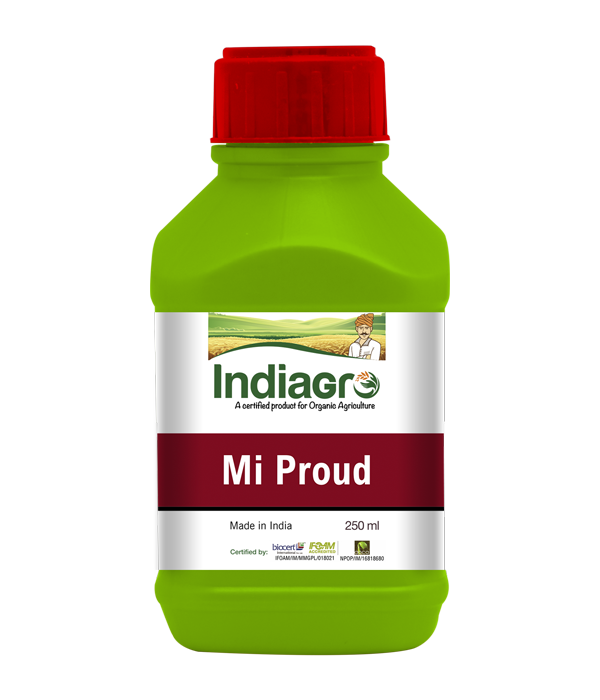 Best Healthcare and ayurvedic products buy online Indiashoppe pic