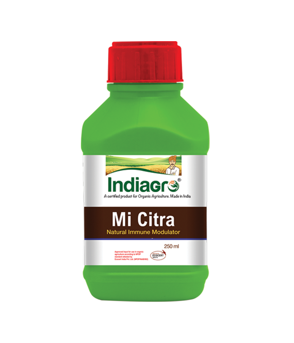 IndiaGro Mi Citra 250 ml