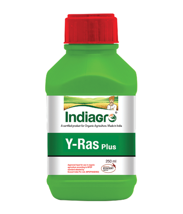 IndiaGro Y-Ras Plus 250 ml